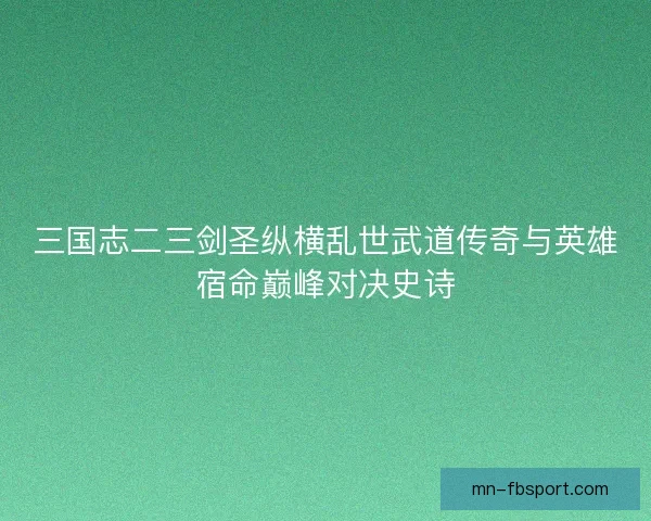 三国志二三剑圣纵横乱世武道传奇与英雄宿命巅峰对决史诗
