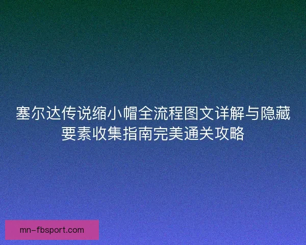 塞尔达传说缩小帽全流程图文详解与隐藏要素收集指南完美通关攻略
