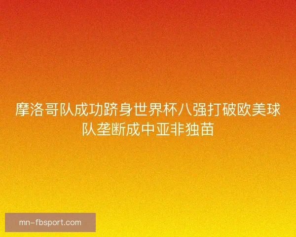摩洛哥队成功跻身世界杯八强打破欧美球队垄断成中亚非独苗